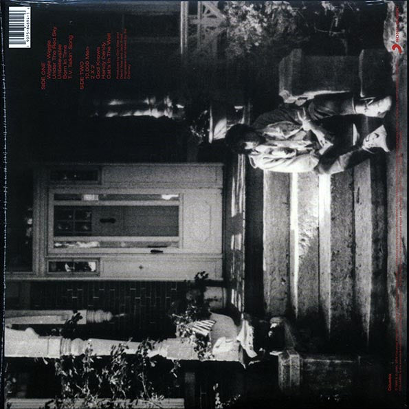 Bob Dylan - Under The Red Sky (incl. mp3)