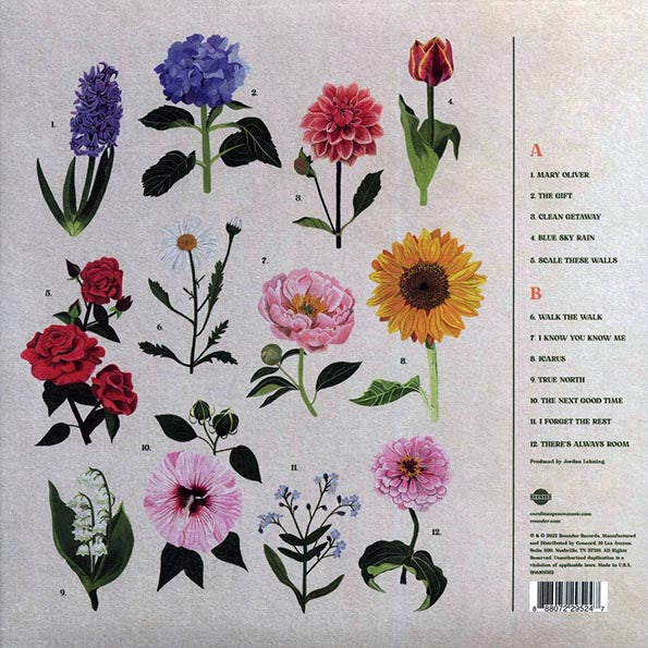 Caroline Spence - True North