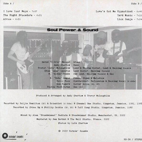 Soul Power & Sound, Al Breadwinner - Soul Power & Sound Meets Al Breadwinner In Dub Procedure